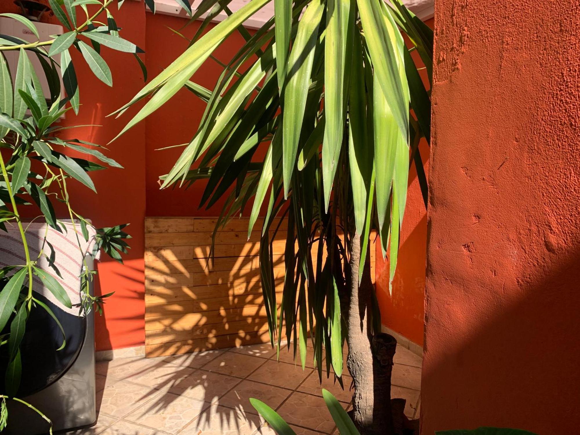 Villa Coyoacan Mexico City Exterior photo